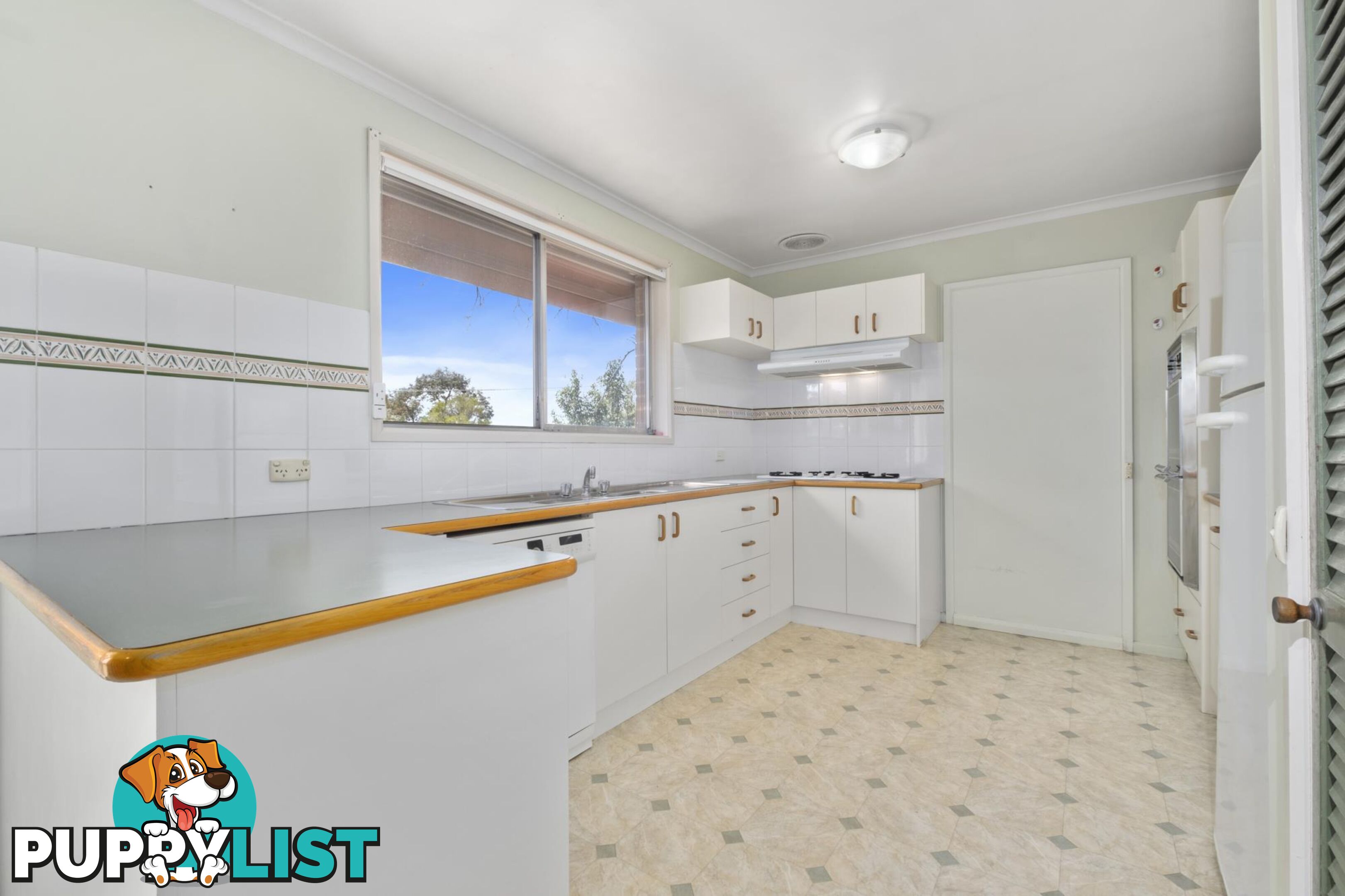 53 Springvale Drive WEETANGERA ACT 2614