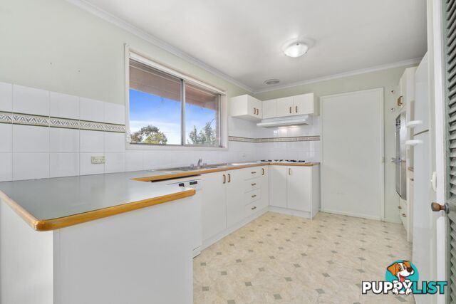 53 Springvale Drive WEETANGERA ACT 2614