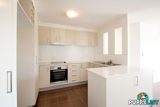 14/6 Cunningham Street GRIFFITH ACT 2603