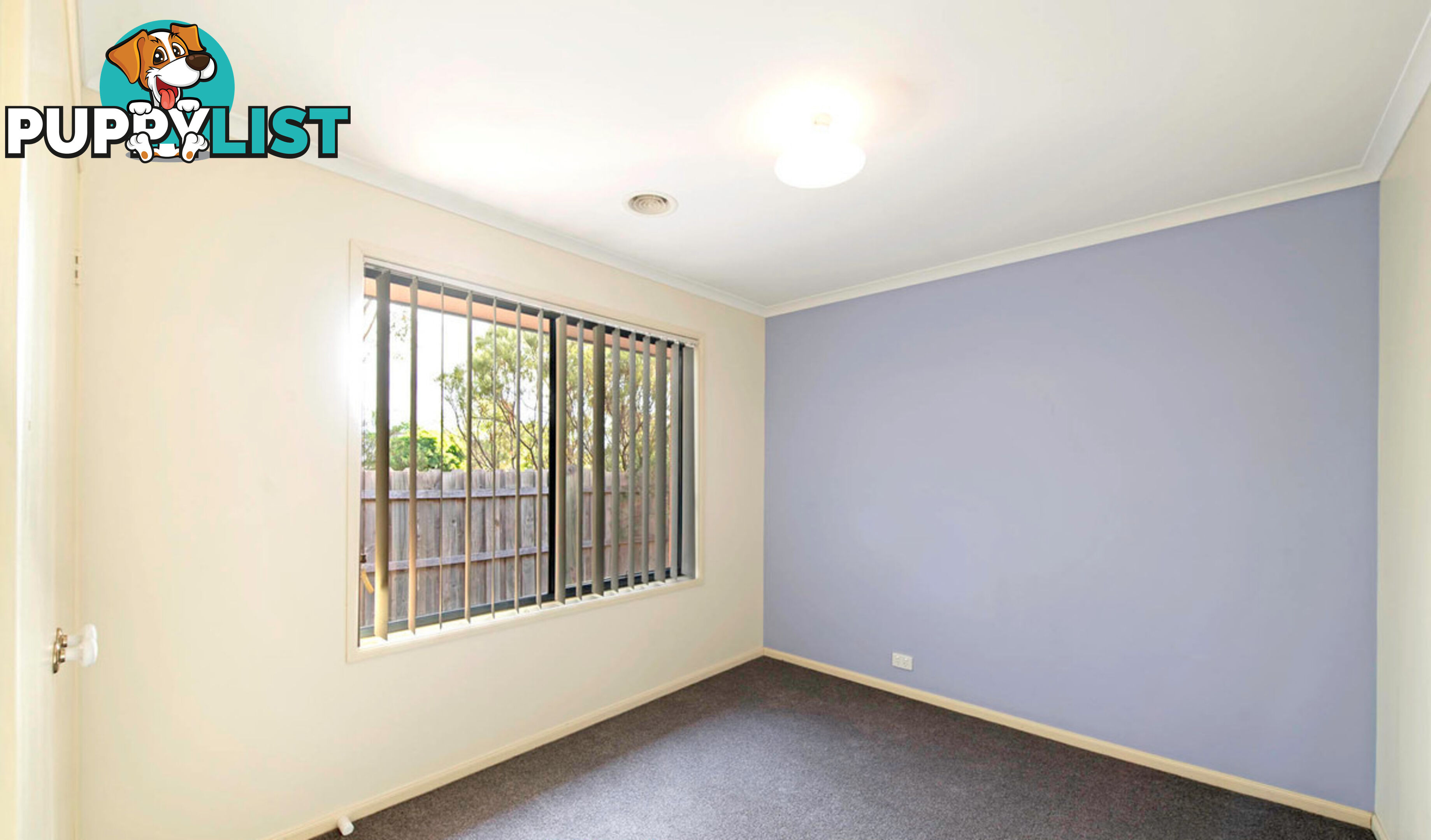 7 Leven Street AMAROO ACT 2914