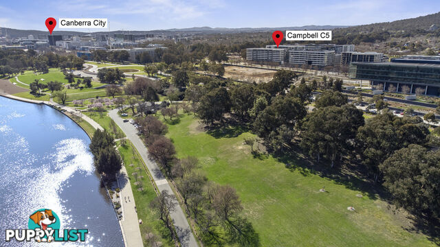 UG06/4 Anzac Park CAMPBELL ACT 2612