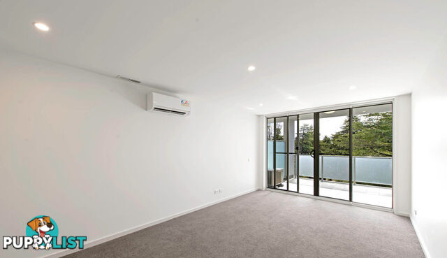 305/24 Girrahween Street BRADDON ACT 2612