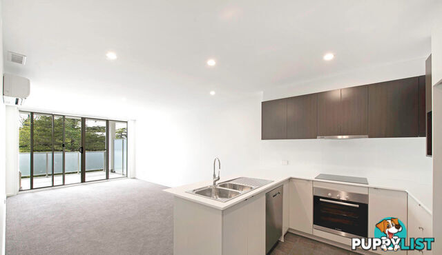 305/24 Girrahween Street BRADDON ACT 2612