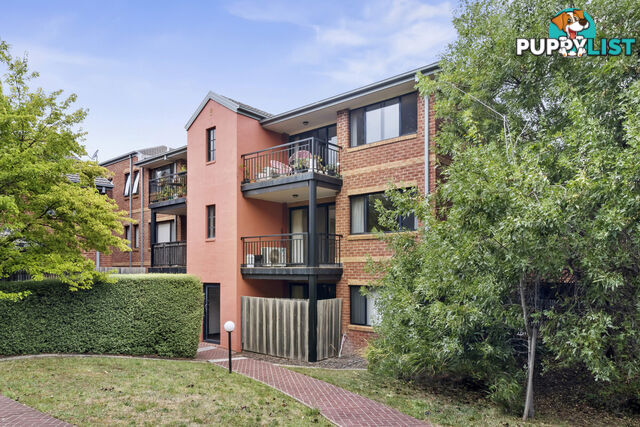17/1-19 Ijong Street BRADDON ACT 2612
