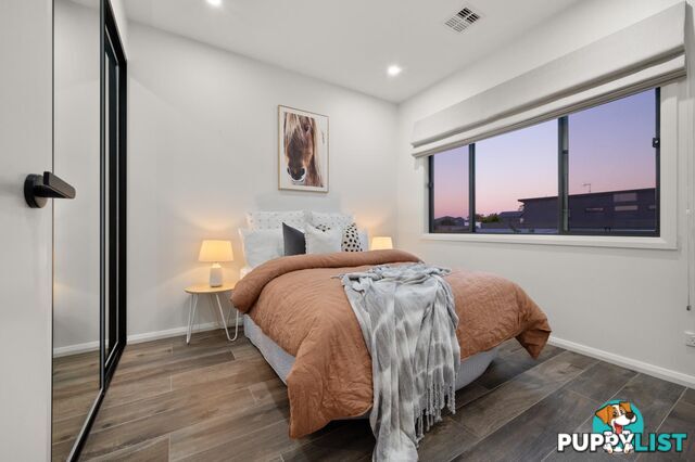 56 Mulgara Loop THROSBY ACT 2914