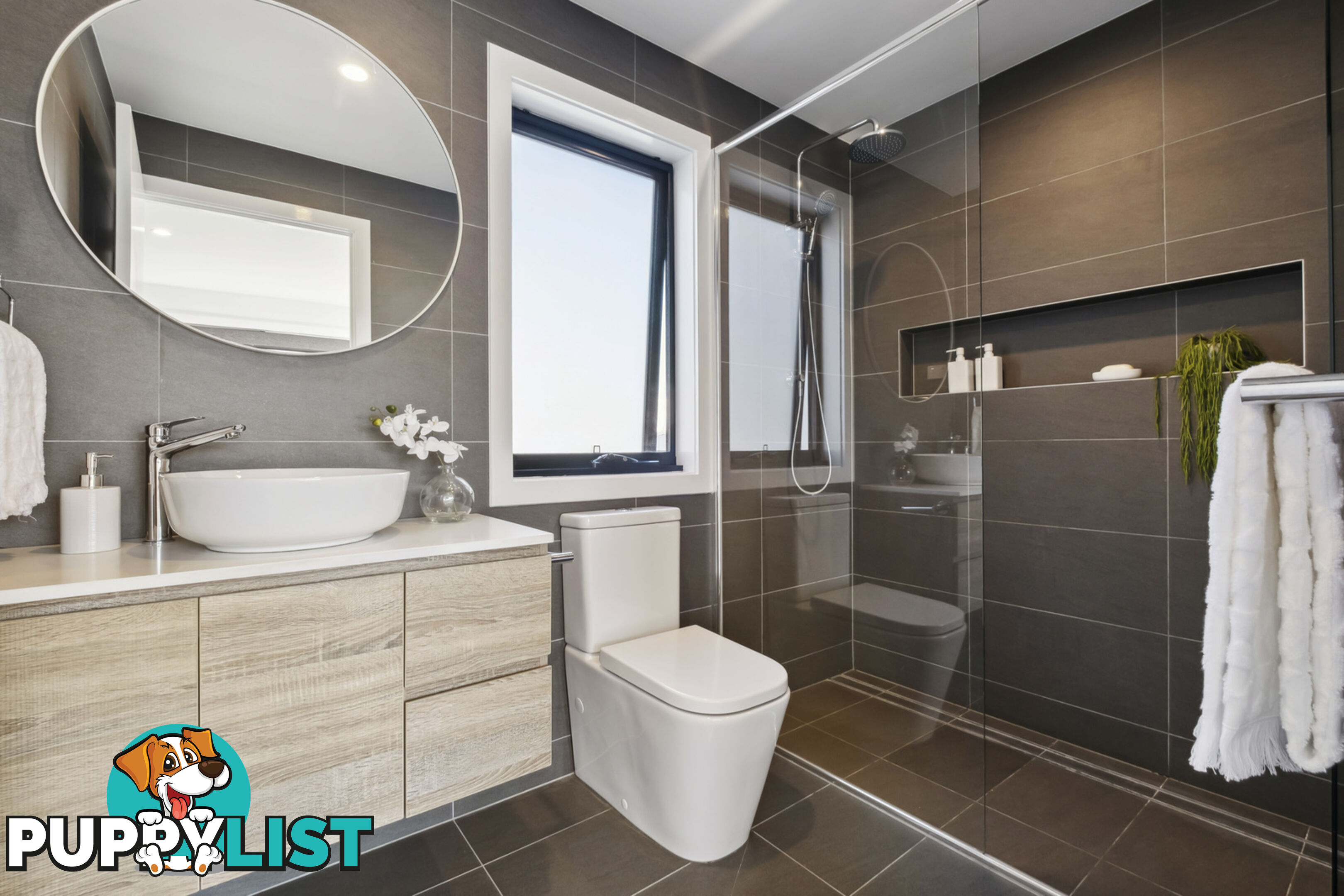 6/8 Berrigan Crescent O'CONNOR ACT 2602