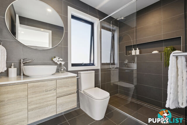 6/8 Berrigan Crescent O'CONNOR ACT 2602