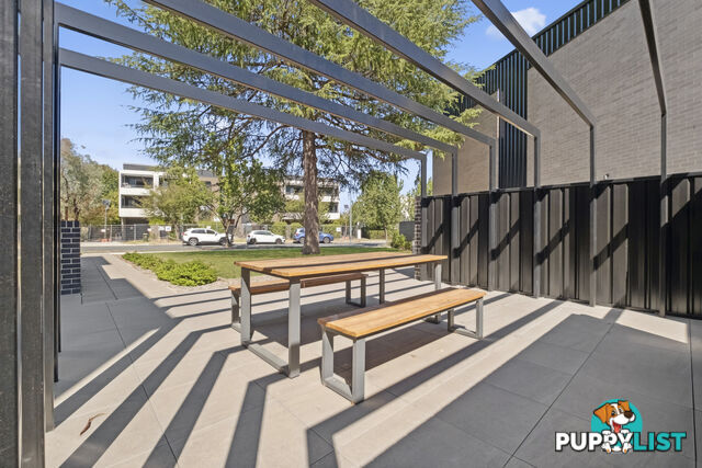 6/8 Berrigan Crescent O'CONNOR ACT 2602