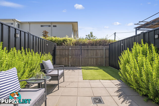 6/8 Berrigan Crescent O'CONNOR ACT 2602