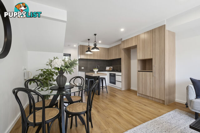 6/8 Berrigan Crescent O'CONNOR ACT 2602