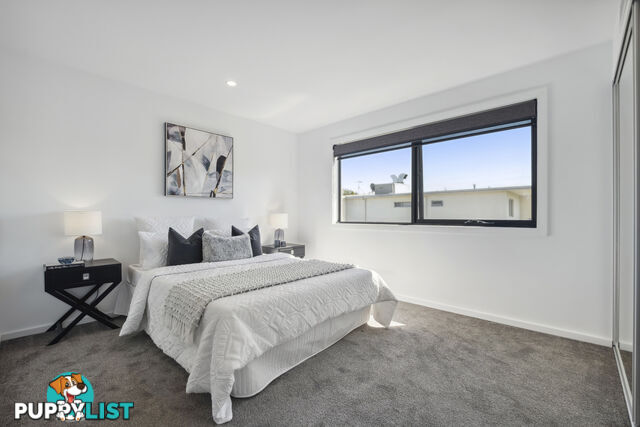 6/8 Berrigan Crescent O'CONNOR ACT 2602
