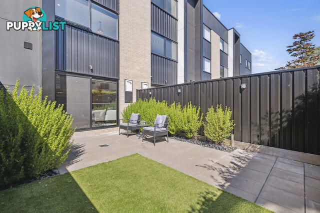 6/8 Berrigan Crescent O'CONNOR ACT 2602