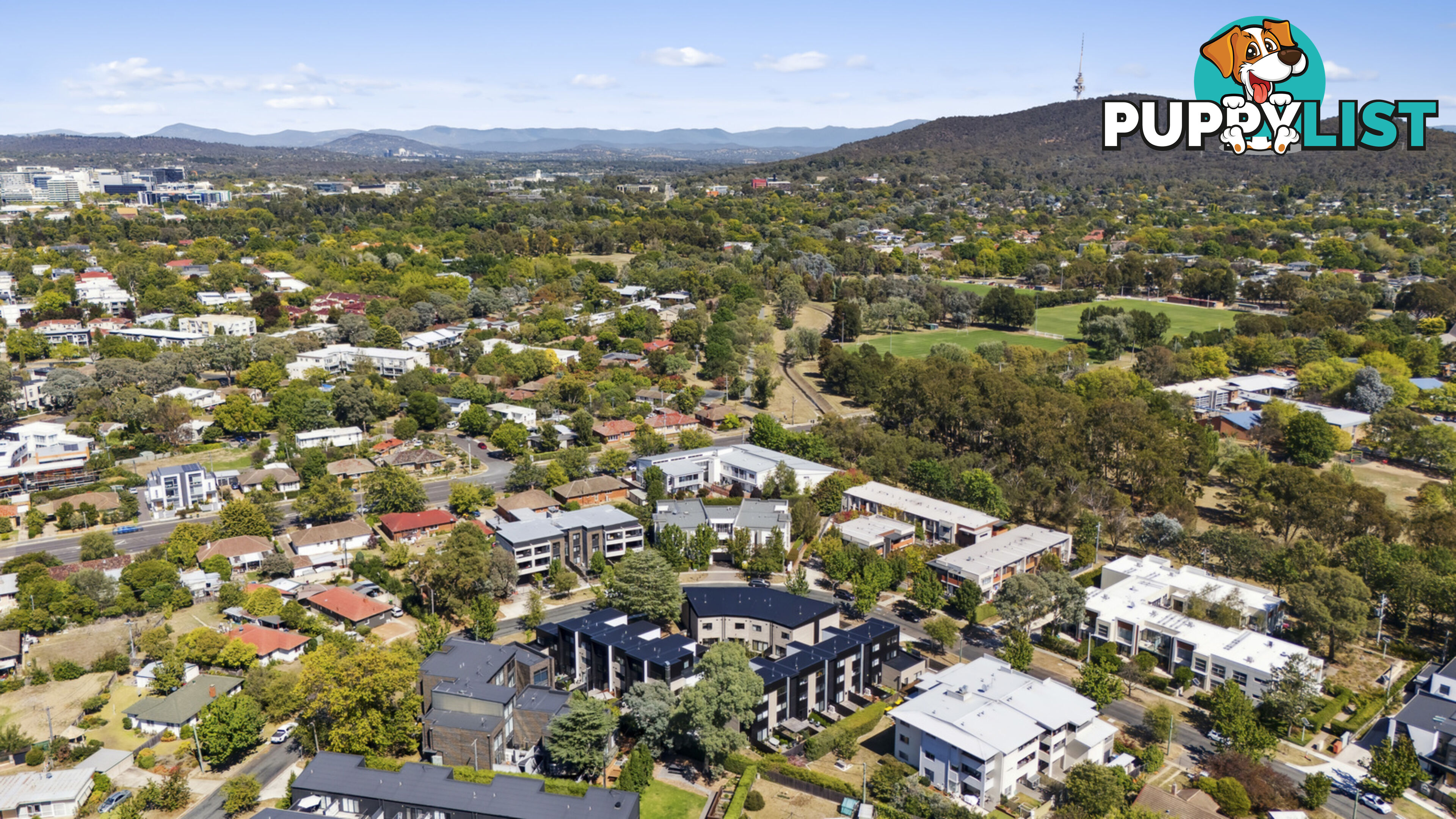 6/8 Berrigan Crescent O'CONNOR ACT 2602