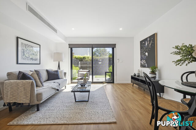 6/8 Berrigan Crescent O'CONNOR ACT 2602