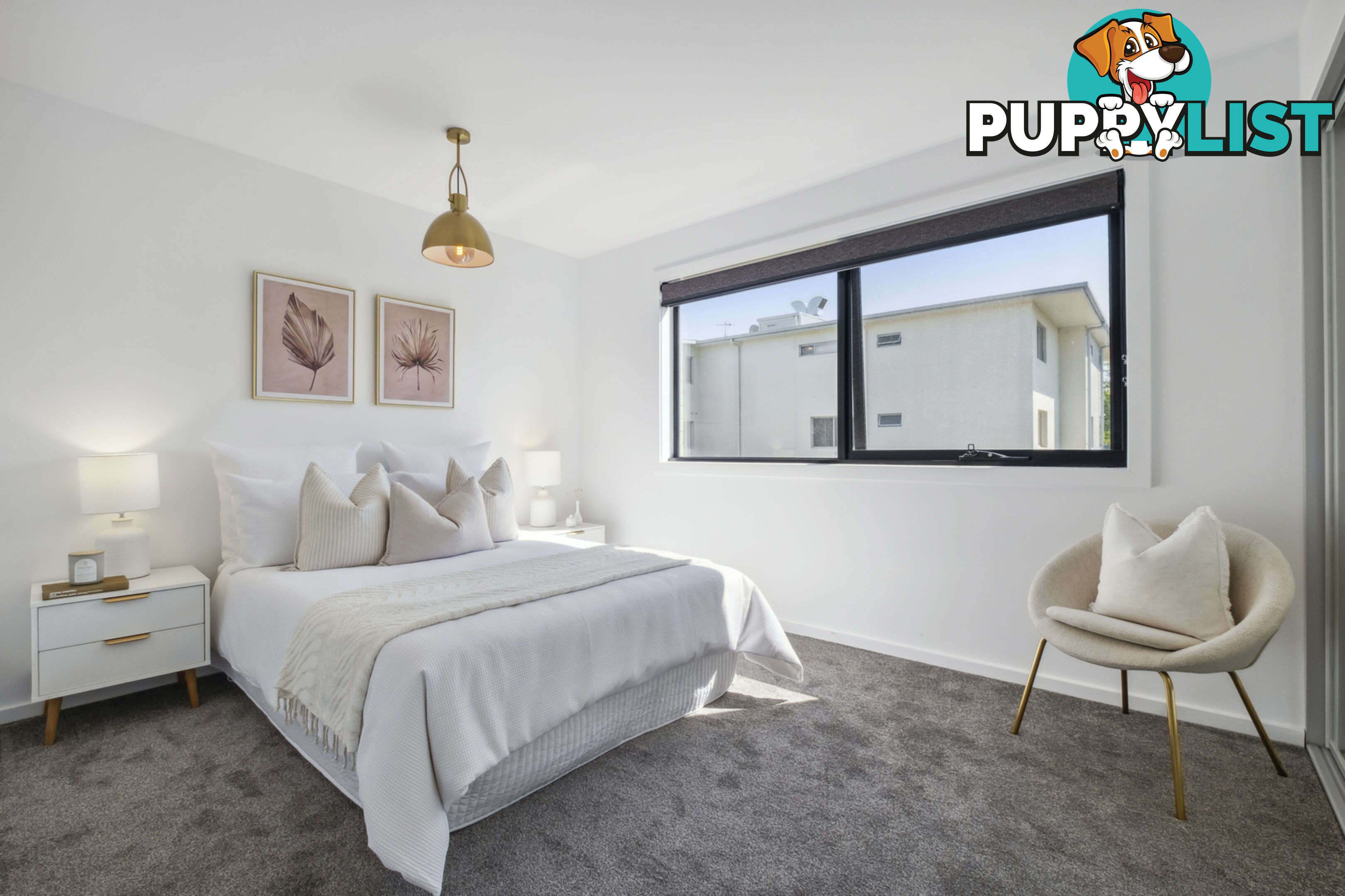 6/8 Berrigan Crescent O'CONNOR ACT 2602