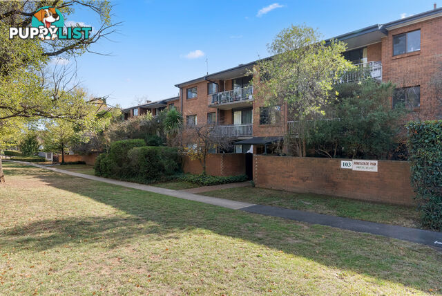 9/103 Canberra Avenue GRIFFITH ACT 2603