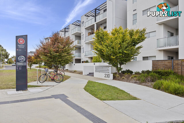125/230 Flemington Road HARRISON ACT 2914