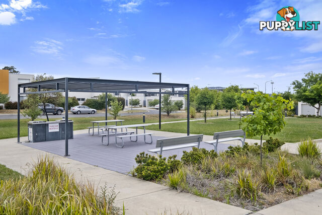 125/230 Flemington Road HARRISON ACT 2914