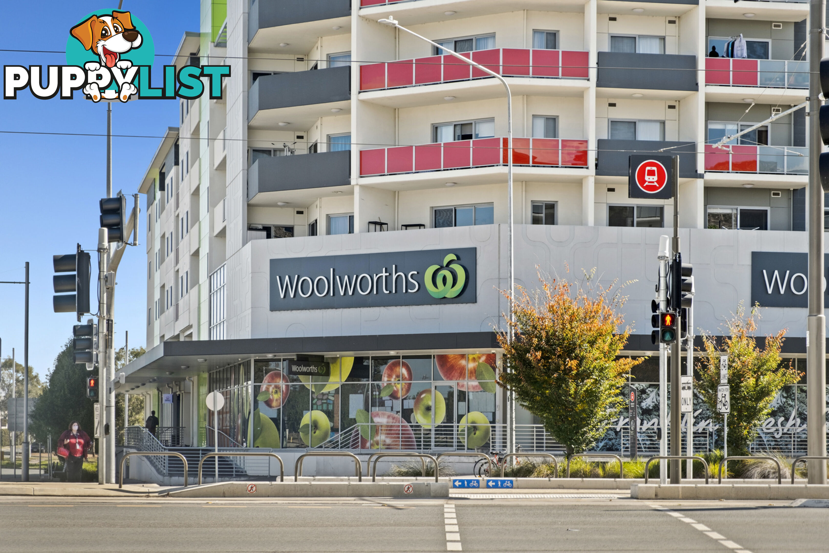 125/230 Flemington Road HARRISON ACT 2914