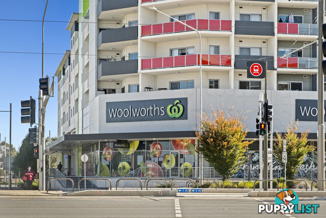 125/230 Flemington Road HARRISON ACT 2914