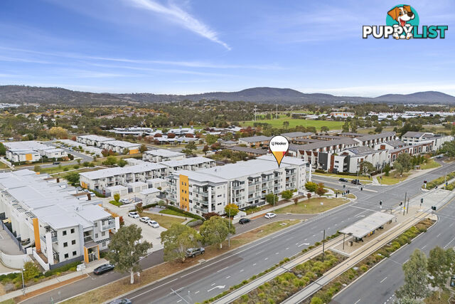 125/230 Flemington Road HARRISON ACT 2914