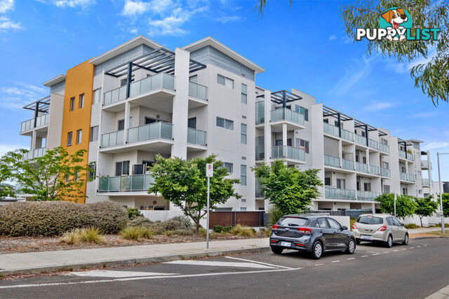 125/230 Flemington Road HARRISON ACT 2914