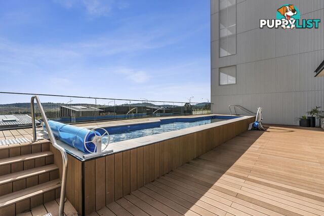90/2 McMichael Terrace DENMAN PROSPECT ACT 2611