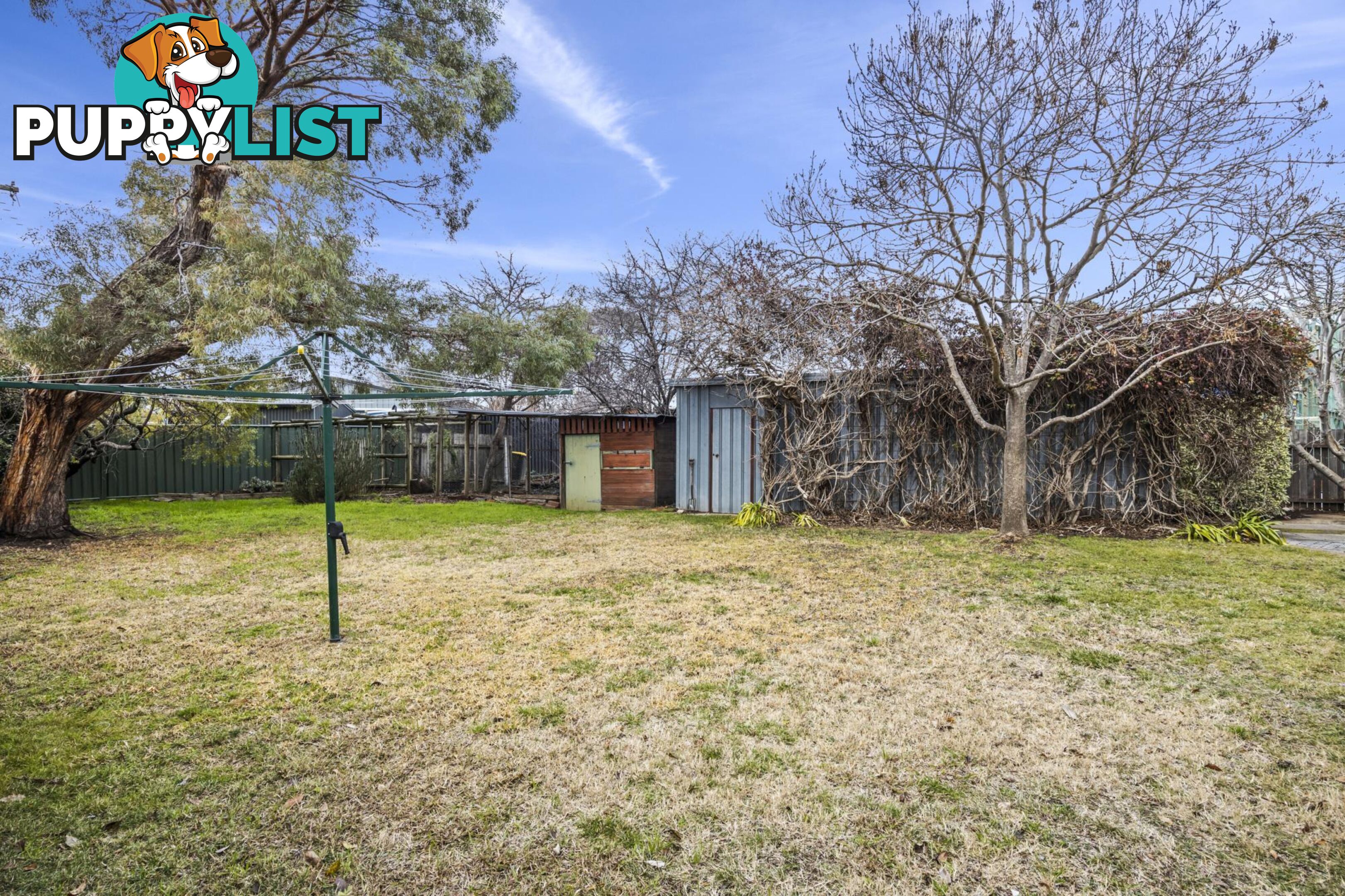 81 Sherbrooke Street AINSLIE ACT 2602