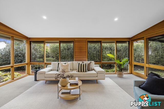 81 Sherbrooke Street AINSLIE ACT 2602
