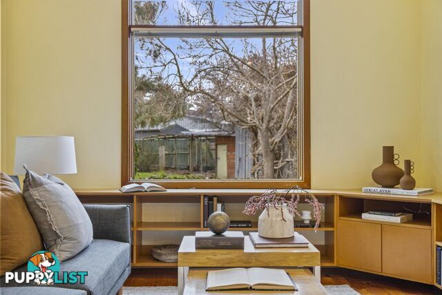 81 Sherbrooke Street AINSLIE ACT 2602