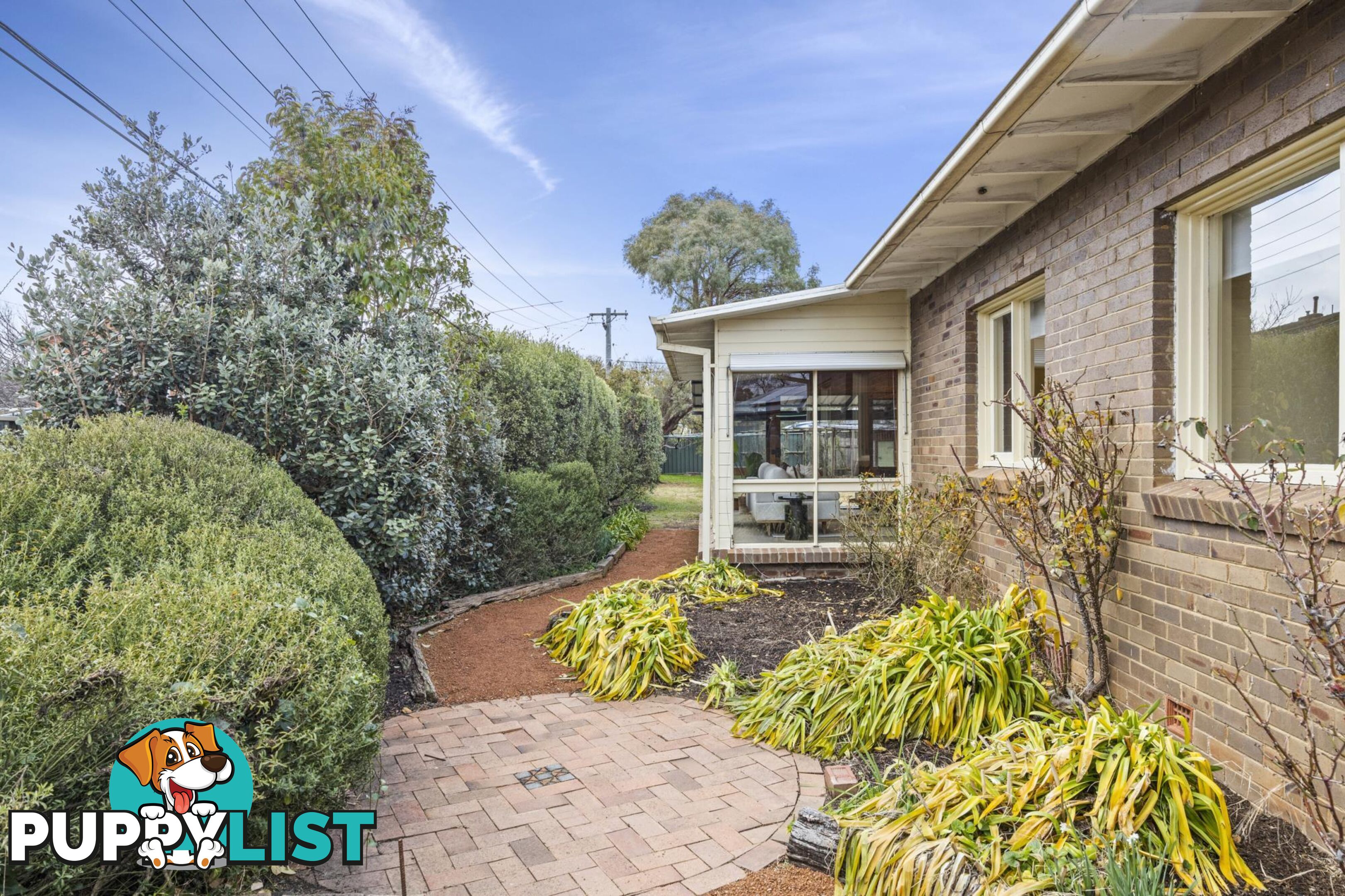 81 Sherbrooke Street AINSLIE ACT 2602