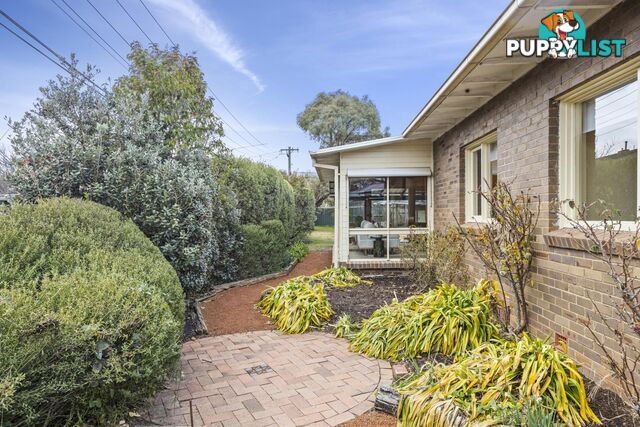 81 Sherbrooke Street AINSLIE ACT 2602