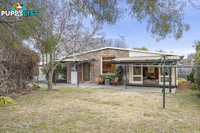 81 Sherbrooke Street AINSLIE ACT 2602