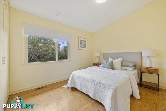 81 Sherbrooke Street AINSLIE ACT 2602