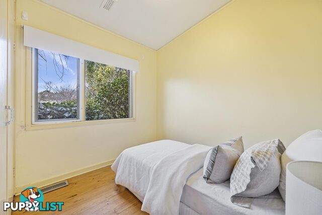 81 Sherbrooke Street AINSLIE ACT 2602