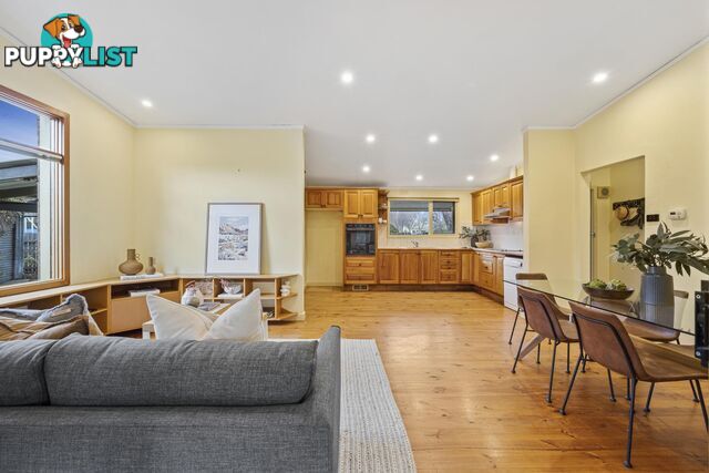 81 Sherbrooke Street AINSLIE ACT 2602
