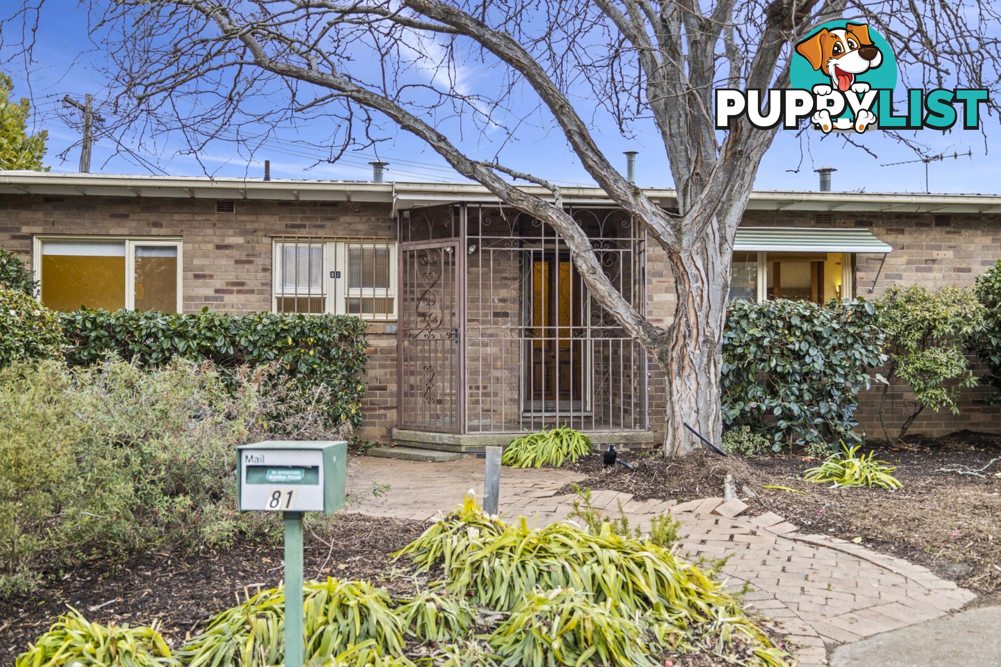 81 Sherbrooke Street AINSLIE ACT 2602