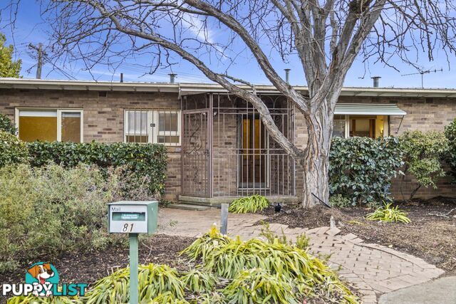 81 Sherbrooke Street AINSLIE ACT 2602