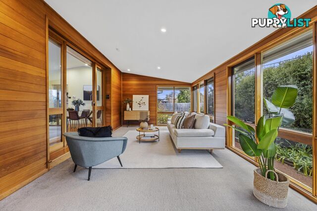 81 Sherbrooke Street AINSLIE ACT 2602