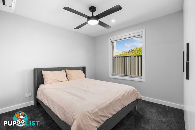 2/11 Pollock Street CHIFLEY ACT 2606