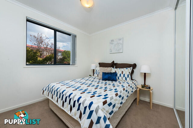 9/38 Watson Street TURNER ACT 2612
