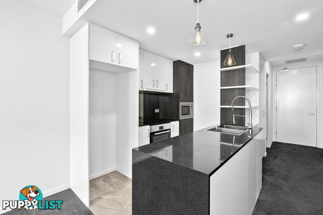 316/6 Cape Street DICKSON ACT 2602