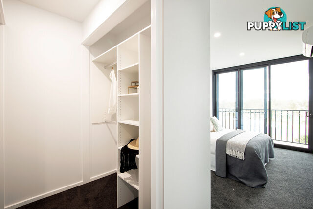 79/14 Hoolihan Street DENMAN PROSPECT ACT 2611