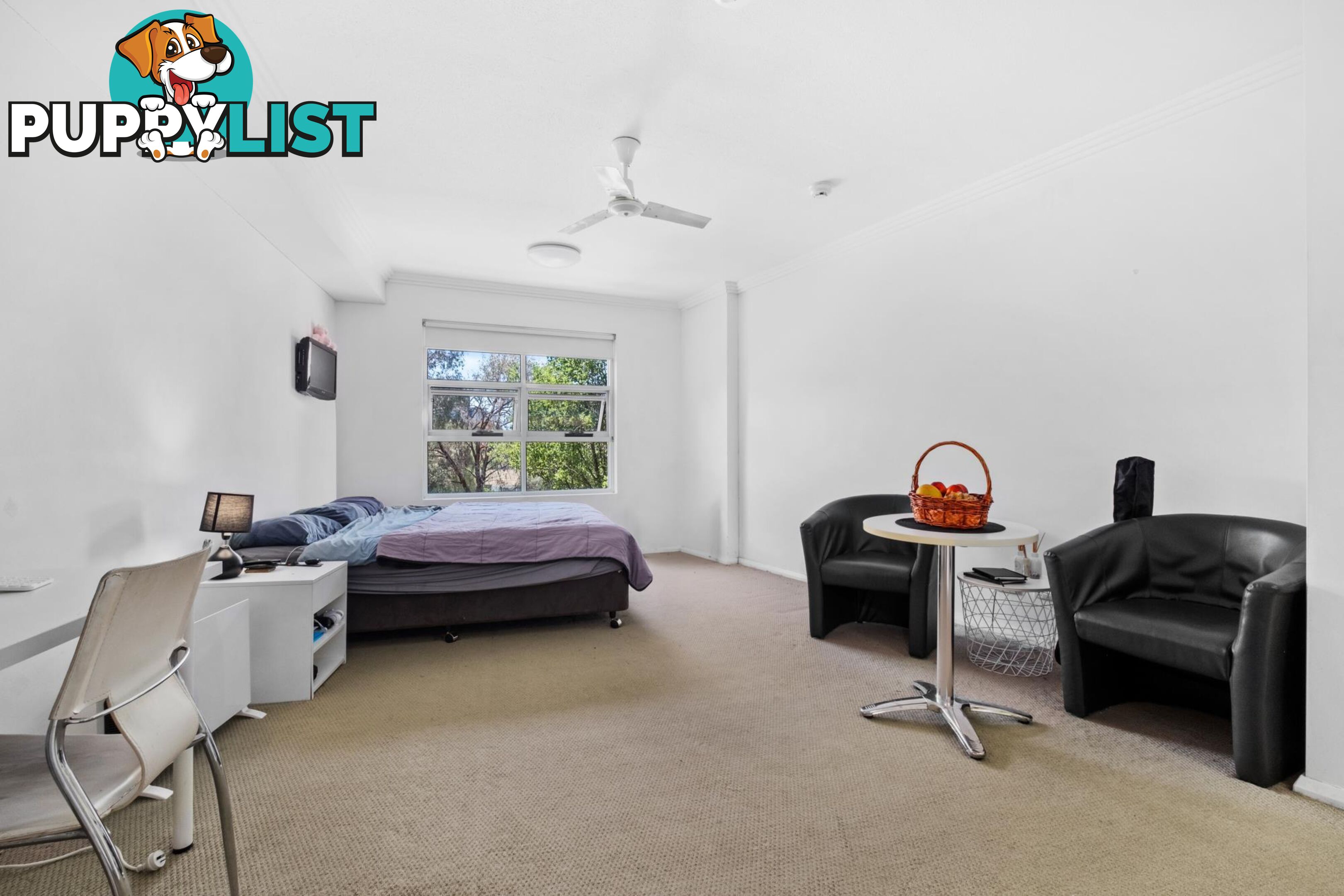 31/101 Hennesy Street BELCONNEN ACT 2617