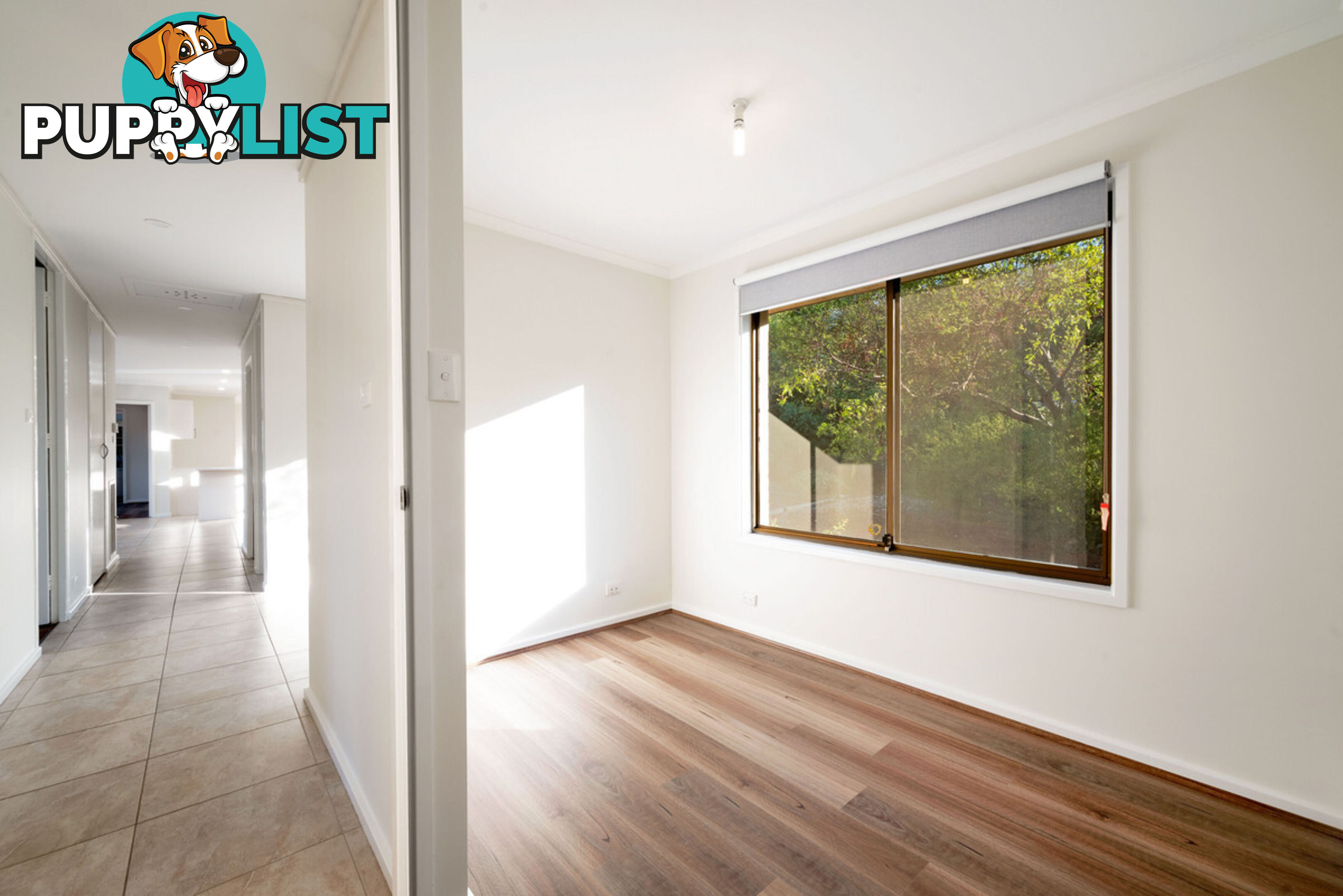 51 Port Arthur Street LYONS ACT 2606