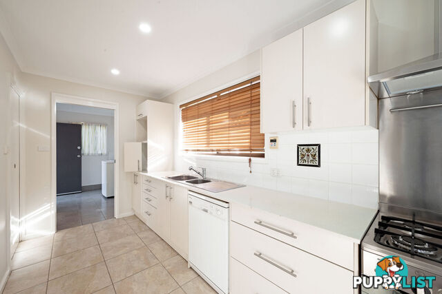 51 Port Arthur Street LYONS ACT 2606