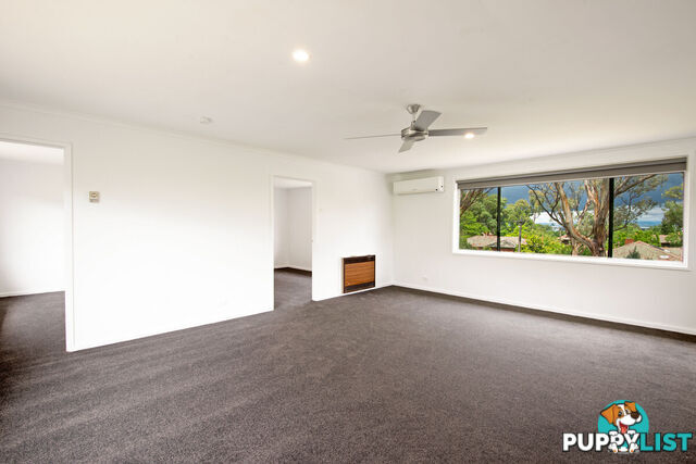 6 Ebden Street AINSLIE ACT 2602