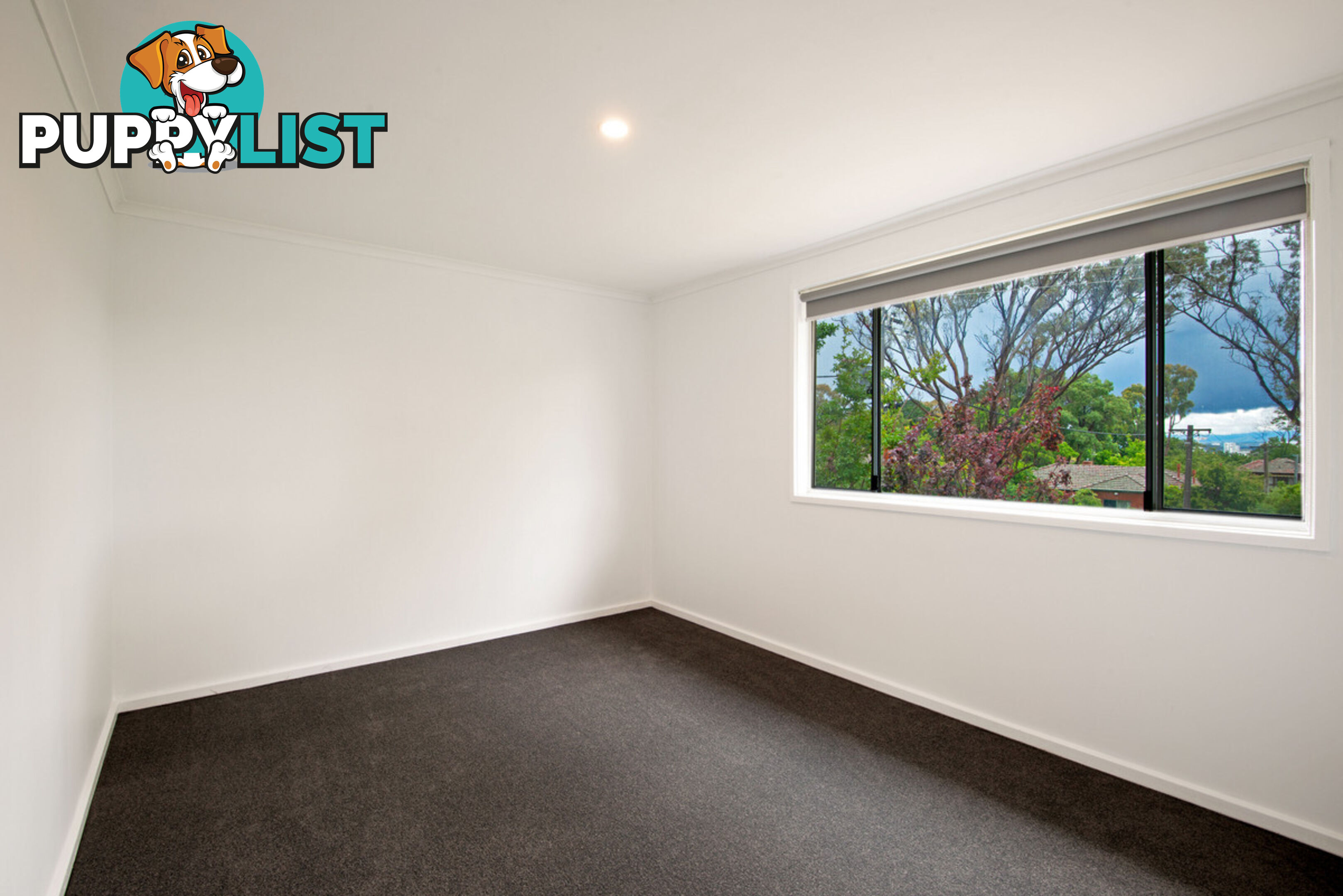 6 Ebden Street AINSLIE ACT 2602