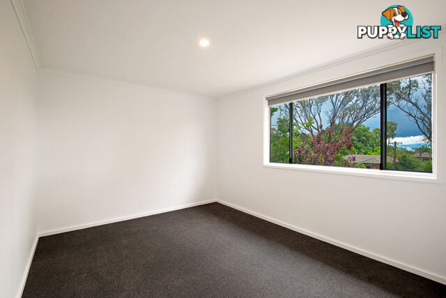 6 Ebden Street AINSLIE ACT 2602