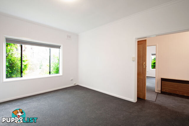 6 Ebden Street AINSLIE ACT 2602